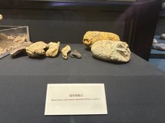 -北京周口店北京人遗址博物馆