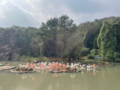 -宁波野生动物园