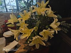 -Apollo·西班牙小酒馆(安福路店)