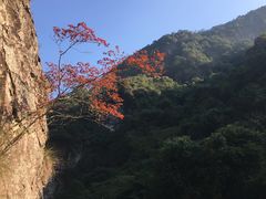 -永泰中国云顶