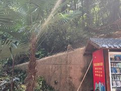 -黔灵山公园