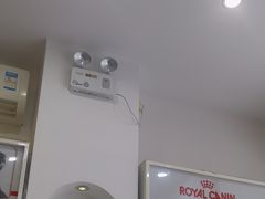 -芭比堂动物医院·心脏科·老年急重症·夜诊·吉雅分院