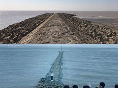 -上海崇明金茂凯悦酒店