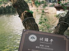 -绮园景区
