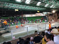 -是拉差龙虎园(Permanently closed)