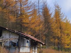 -丰都鬼城名山景区