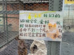 -水上乐园·欢乐世界