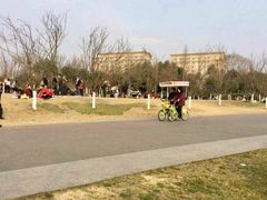 -白鹭湾湿地公园