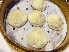 鲜肉小笼包-桃园眷村(万象天地店)