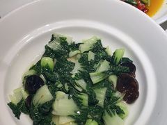 -大鸭梨烤鸭(望京店)