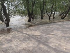 -宝安西湾红树林湿地公园