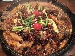 -老板恋上鱼(荣盛广场店)