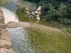-牛背梁国家森林公园