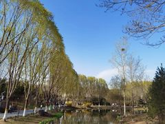 -河北省园博园