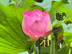莫催咖啡厅-莫催咖啡