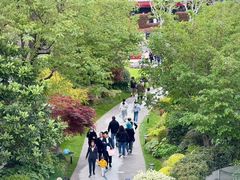 -广西壮族自治区药用植物园