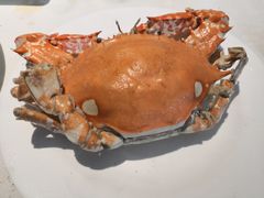 -五月罗马海鲜自助餐厅(陆家嘴店)