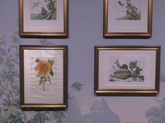 -遇见博物馆(遇见海洋沉浸式奇幻光影展)