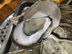 -蚝专家(北滘店)