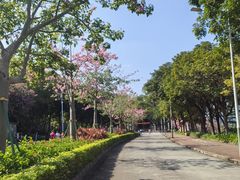 -风云岭森林公园