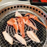 就爱吃肉肉[调皮]