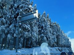 -武陵山森林公园