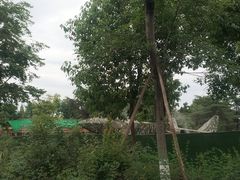 -成飞公园