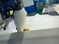 -重庆欢乐海底世界