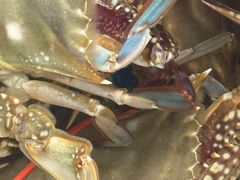 -威海渔村(黄兴路店)