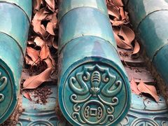 -武汉大学-樱园