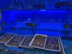 -启东小海鲜(庄先湾路1号店)