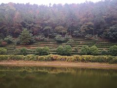 -九龙潭景区