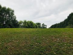 草地-长白岛森林公园