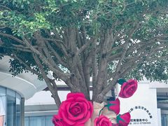 -昆山城市生态森林公园