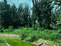 -北京野生动物园