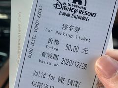 -迪士尼乐园停车场