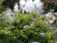 -顺德了能馆(虎门店)