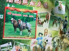 -海南热带野生动植物园