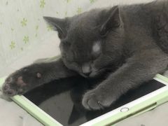 -宠颐生宠物医院·综合诊疗(先锋分院)
