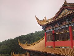 -东莞市大岭山森林公园