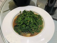 -洋洋中餐馆·SINCE 1997(信投店)