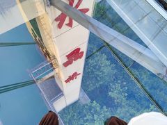 -客天下恐龙水晶玻璃桥