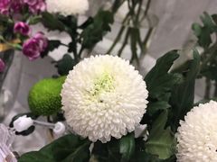 -花邻FloweringLife花艺气球派对(武康大楼店)