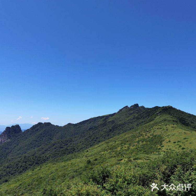 秦岭七十二峪｜分水岭高山草甸