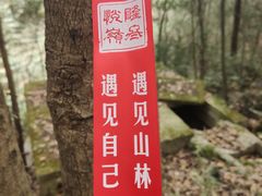 -西湖风景区十里琅珰-五云山