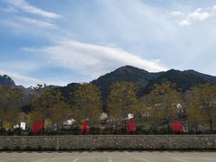 -王顺山国家森林公园