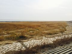 -南汇嘴观海公园