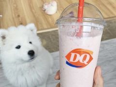 -DQ·蛋糕·冰淇淋(印象城店)