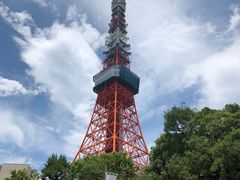 -东京塔海贼王主题公园