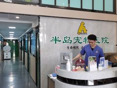 -半岛宠物医院24小时(科华中路店)